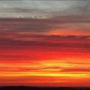 Meet your Posher, Roni